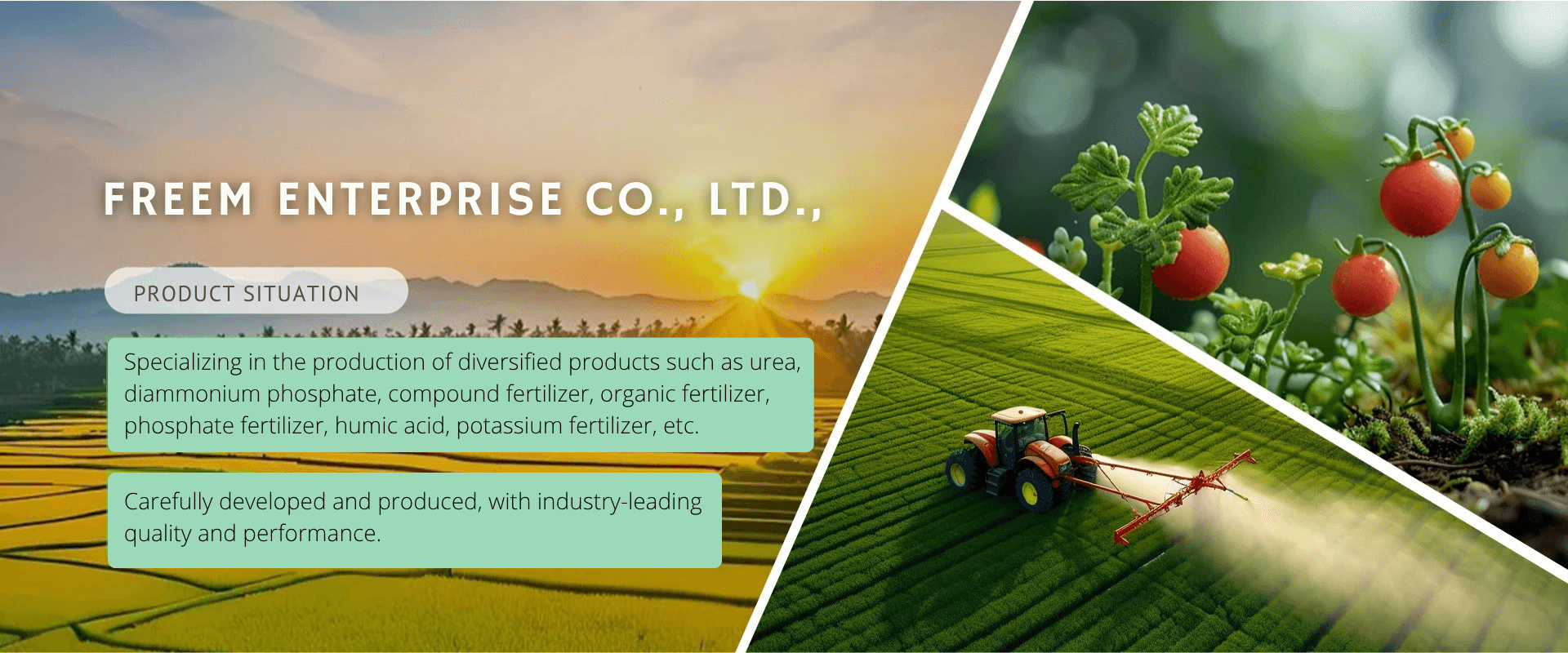 Diversified fertilizer products — urea, DAP, organic and compound fertilizers